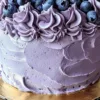 Heavenly Delight Blueberry Chiffon Cake